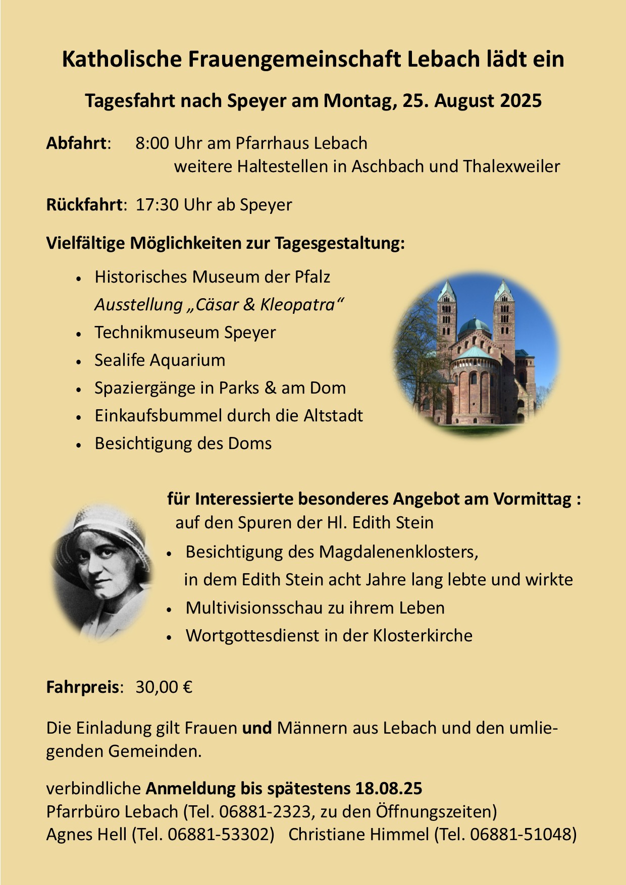 Flyer Speyer